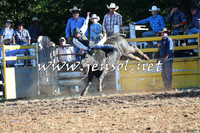 Taralga2015_6380