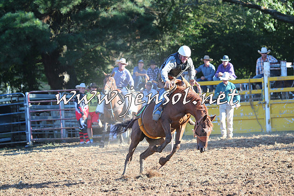 Taralga2015_6529