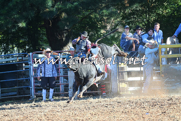 Taralga2015_6433