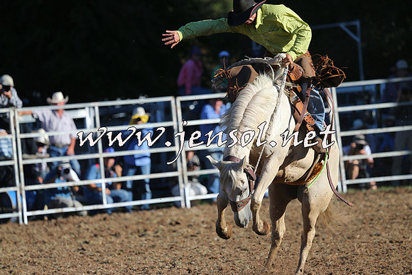 Taralga2015_6484