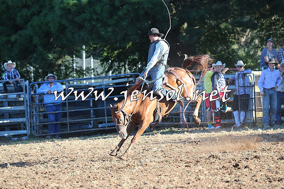 Taralga2015_6567