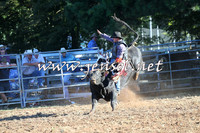 Taralga2015_6429