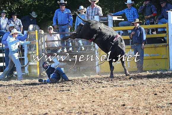 Taralga2015_6385