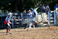 Taralga2015_6395