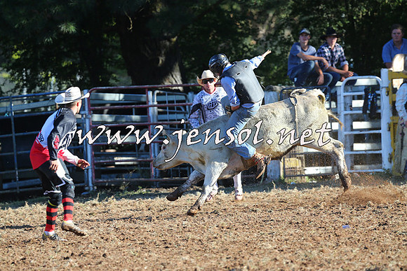 Taralga2015_6395