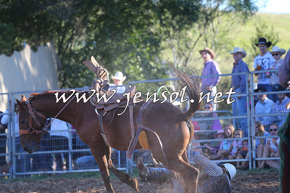 Taralga2015_6551