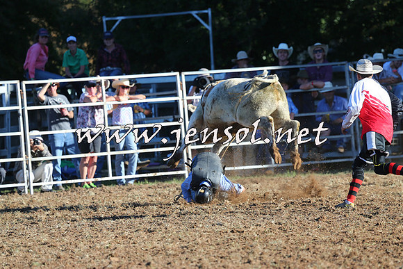 Taralga2015_6402