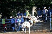 Taralga2015_6492