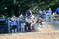 Taralga2015_6435