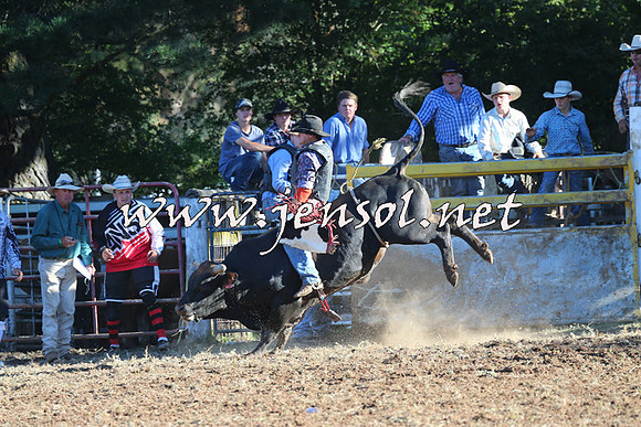 Taralga2015_6415