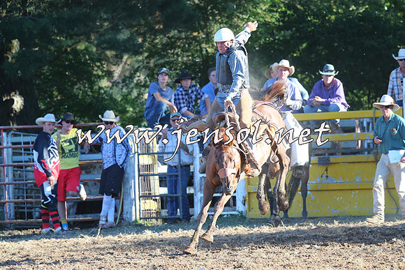Taralga2015_6524