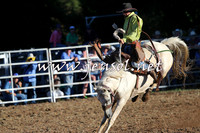 Taralga2015_6482