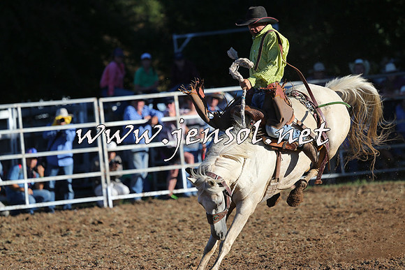 Taralga2015_6482