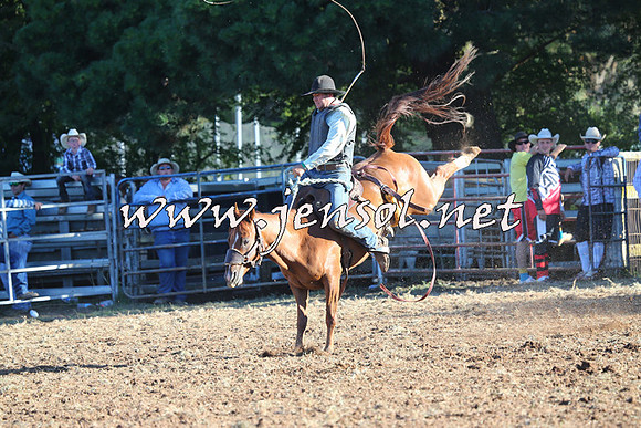 Taralga2015_6577