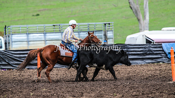 CabanandraCampdraft2014_2400