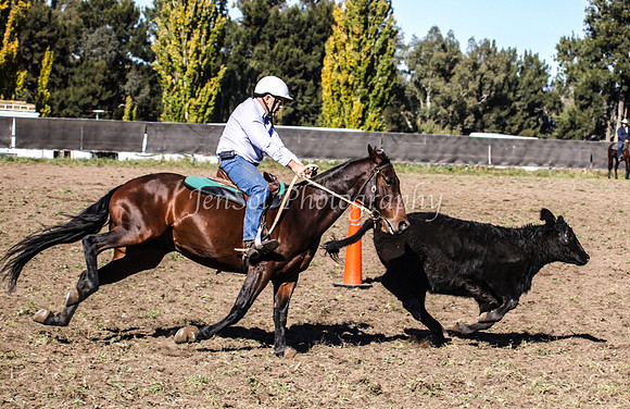 IMG_0386Jugiong1