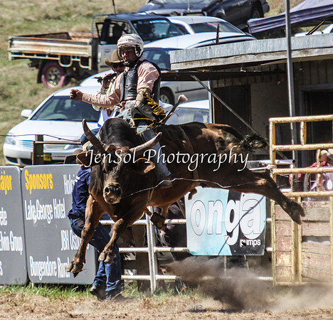 Bungendore2011_1143