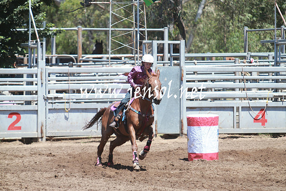 GundagaiRodeo_0336