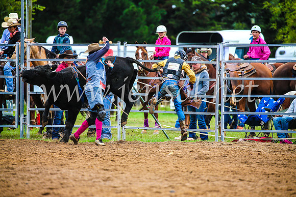BraidwoodRodeo2017_0252