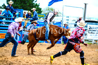 BraidwoodRodeo2017_0185
