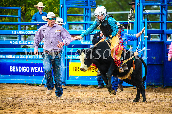 BraidwoodRodeo2017_0480