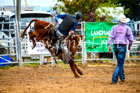 BraidwoodRodeo2017_0256
