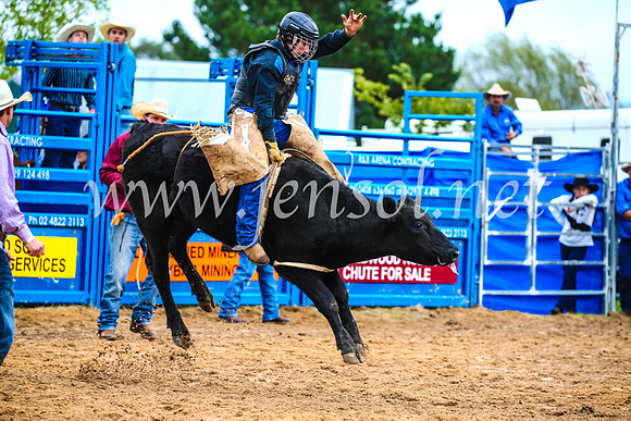 BraidwoodRodeo2017_0258