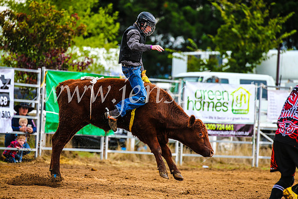 BraidwoodRodeo2017_1380