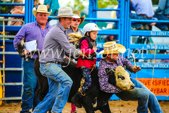 BraidwoodRodeo2017_2468