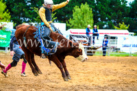 BraidwoodRodeo2017_0221