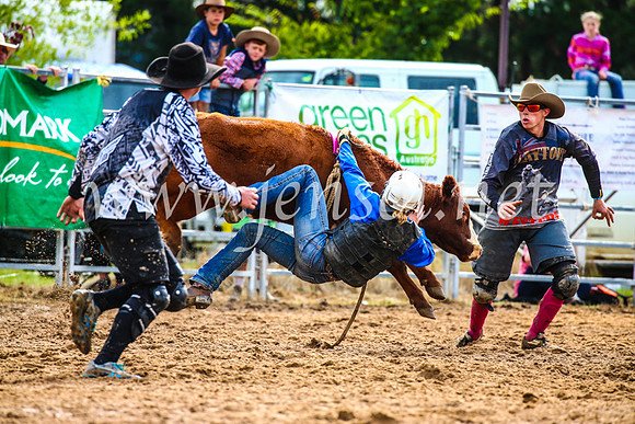 BraidwoodRodeo2017_2605