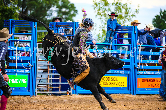 BraidwoodRodeo2017_1363