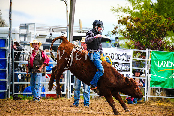 BraidwoodRodeo2017_1386