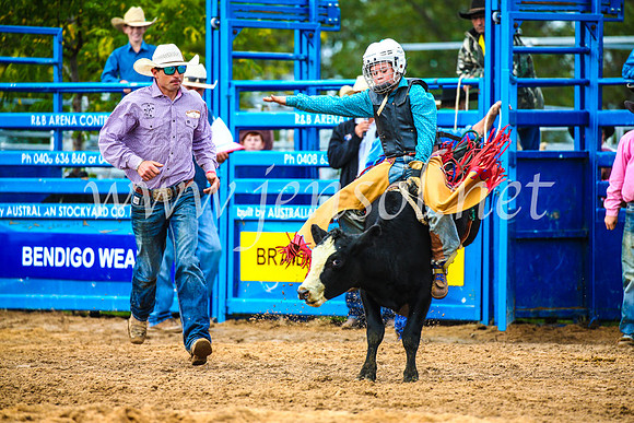 BraidwoodRodeo2017_0475