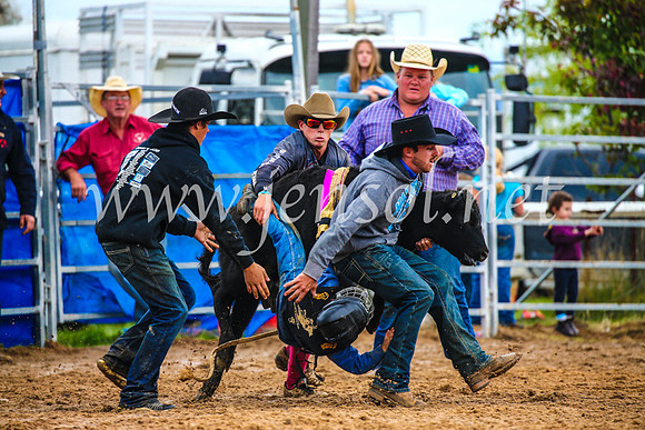 BraidwoodRodeo2017_2458