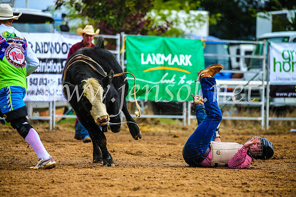 BraidwoodRodeo2017_1397