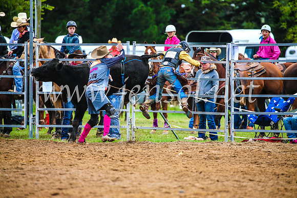 BraidwoodRodeo2017_0251