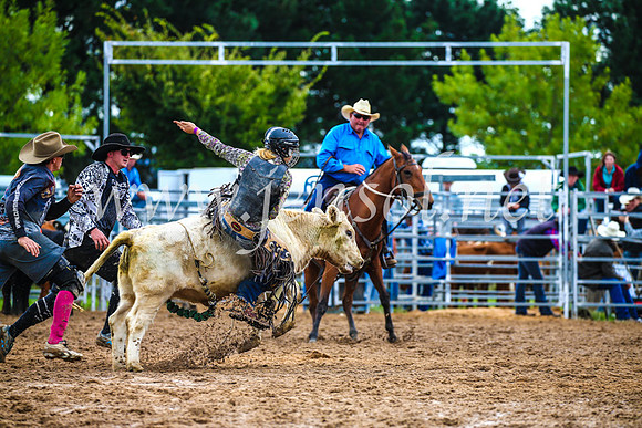 BraidwoodRodeo2017_2685