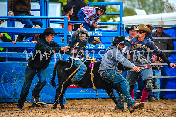 BraidwoodRodeo2017_2461