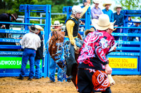 BraidwoodRodeo2017_0212