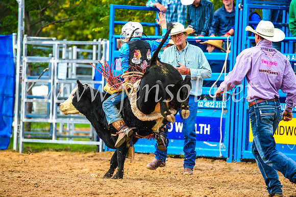 BraidwoodRodeo2017_0442