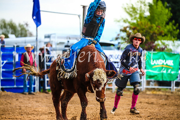BraidwoodRodeo2017_1404