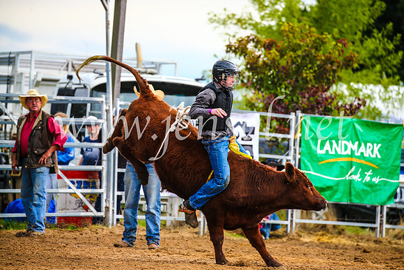 BraidwoodRodeo2017_1388