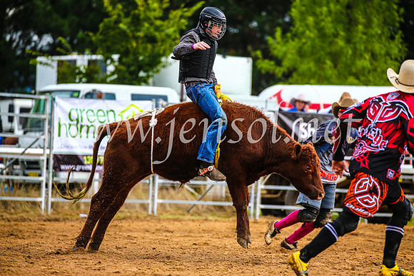 BraidwoodRodeo2017_1392