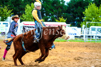 BraidwoodRodeo2017_0217