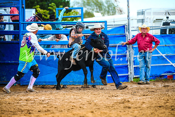 BraidwoodRodeo2017_2412
