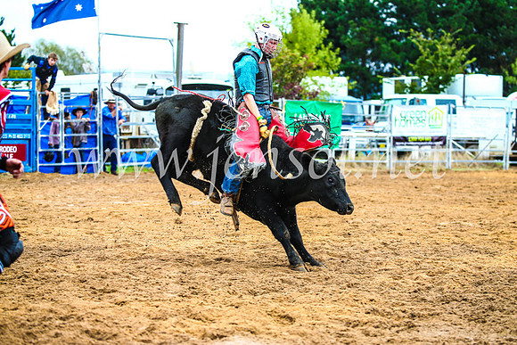 BraidwoodRodeo2017_0277