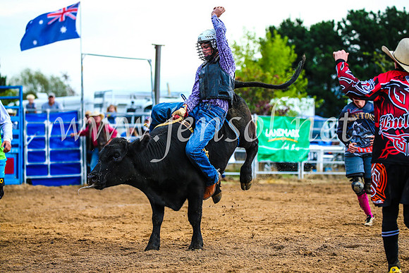 BraidwoodRodeo2017_1418