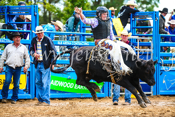 BraidwoodRodeo2017_2634