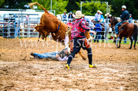 BraidwoodRodeo2017_0199